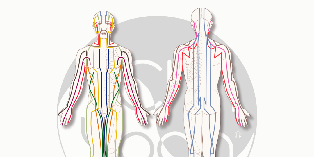 Meridianos Principales