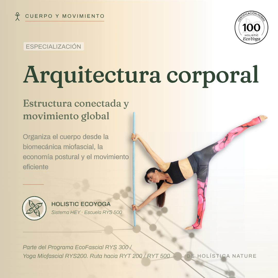 2. Arquitectura Arquitectura corporal